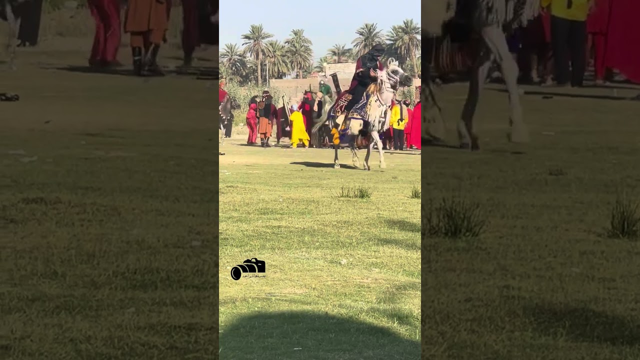 تشابيه أهالي الكفل الإمام علي الأكبر عدسة هاشم احمد