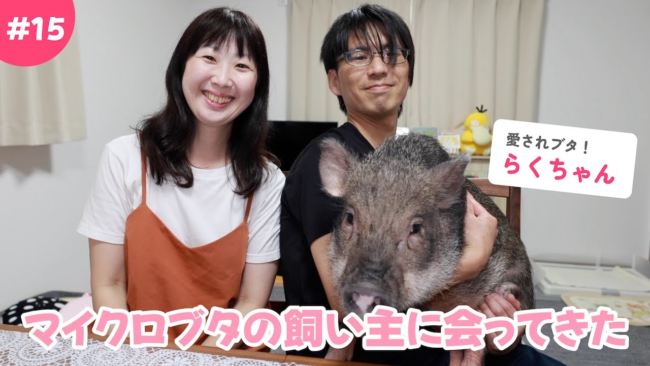#15【オーナーズインタビュー】〜マイクロブタさんのらくちゃんとの暮らし〜