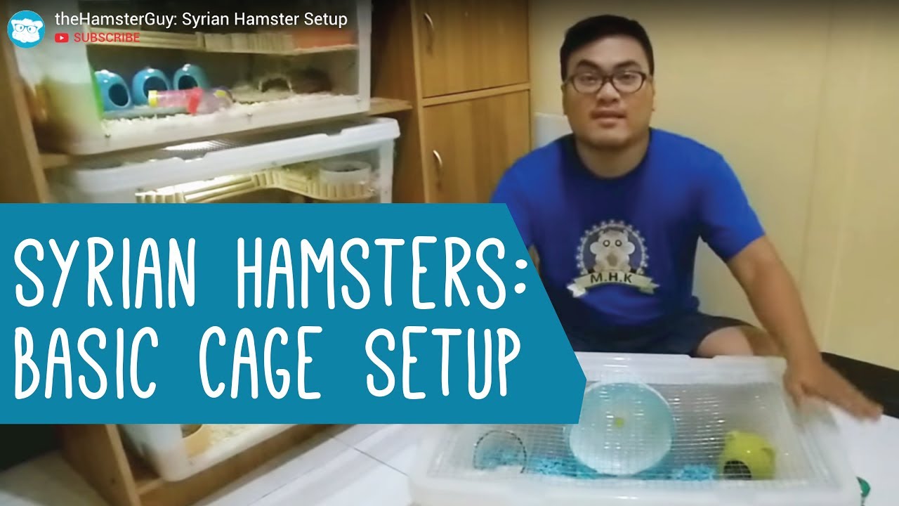 Syrian Hamster: Basic Cage Setup