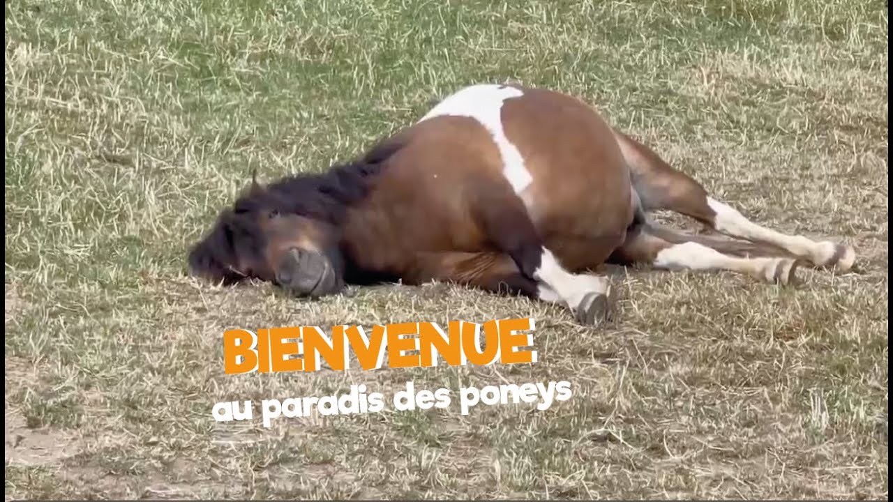DEMENAGEMENT ET RETROUVAILLES - une semaine avec nous 🧡