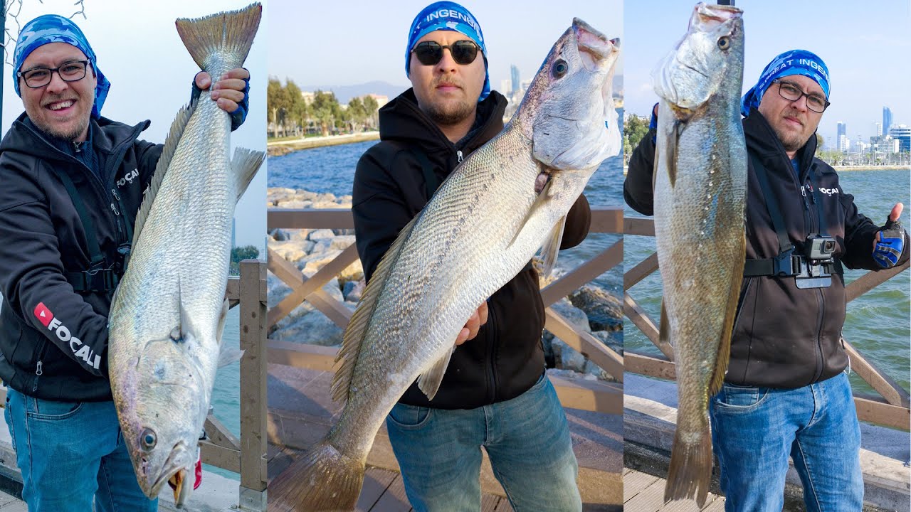 Jig yemlerle aksiyona doyduk! Bu balık çok hırçın! İzmir At-Çek Granyöz Avı Jewfish Muskar Halili