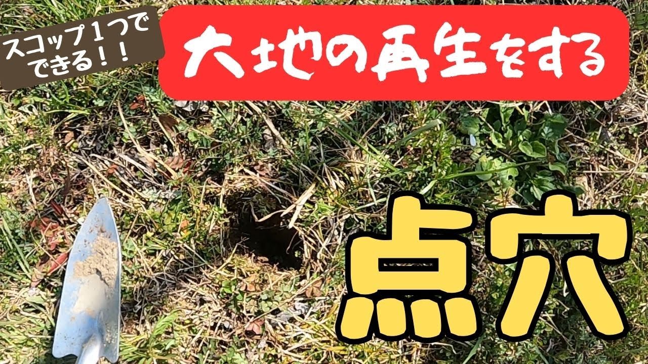 大地の再生手法で土中環境を改善しよう！　～初級　点穴～