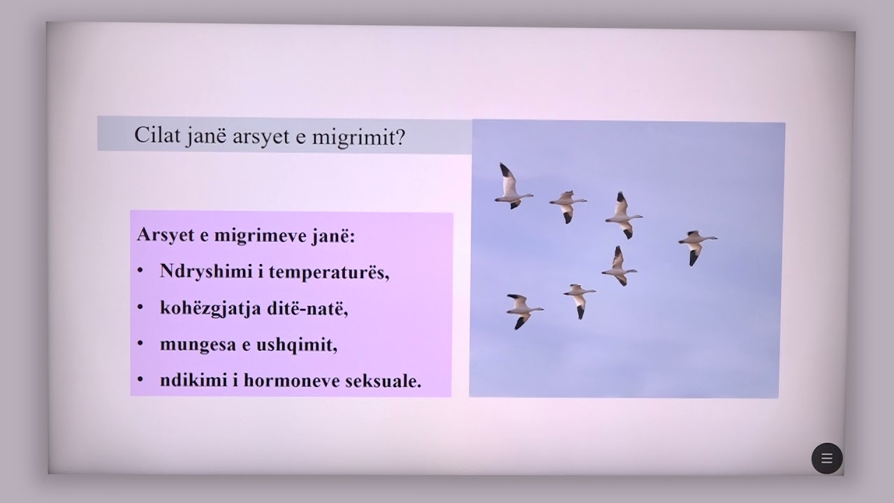 6 06 039 - Java 20 - Biologji - sjelljet ciklike p
