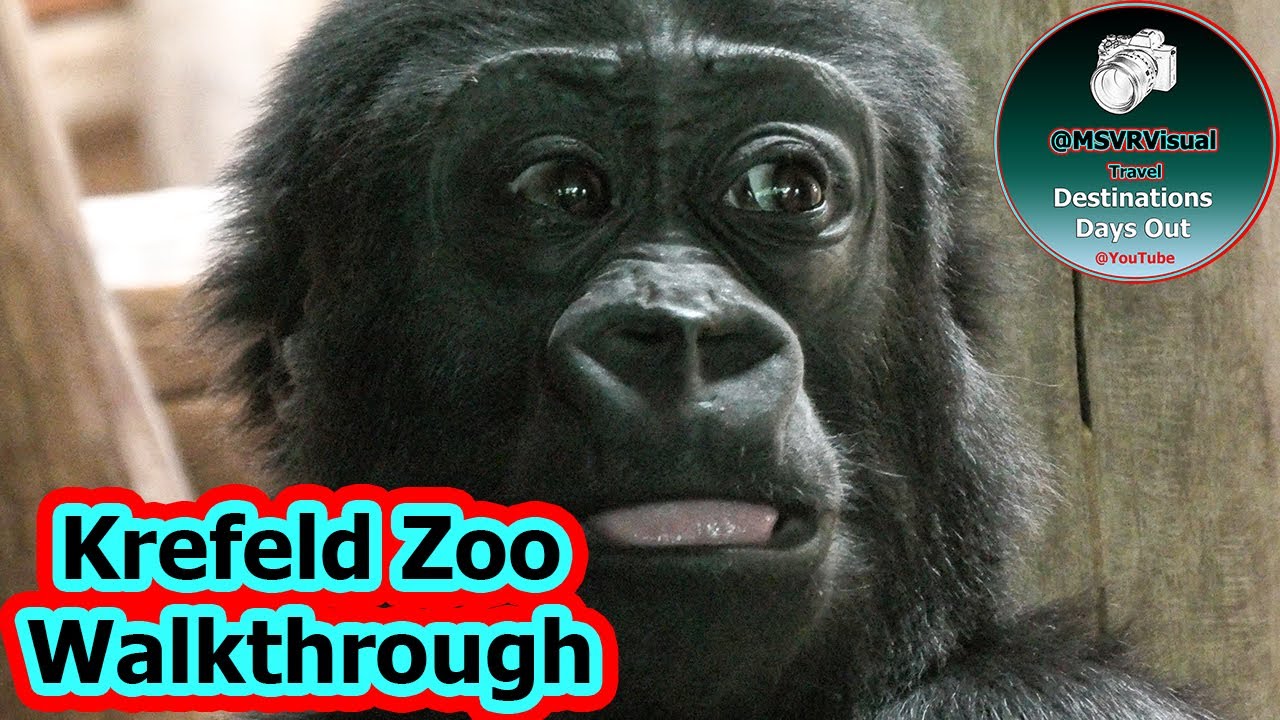 Krefeld Zoo Germany Hyper lapse Walkthrough #zootour