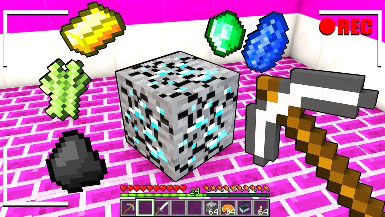 MINECRAFT MA SE ANNA ROMPE UN BLOCCO SI TRASFORMA!!!