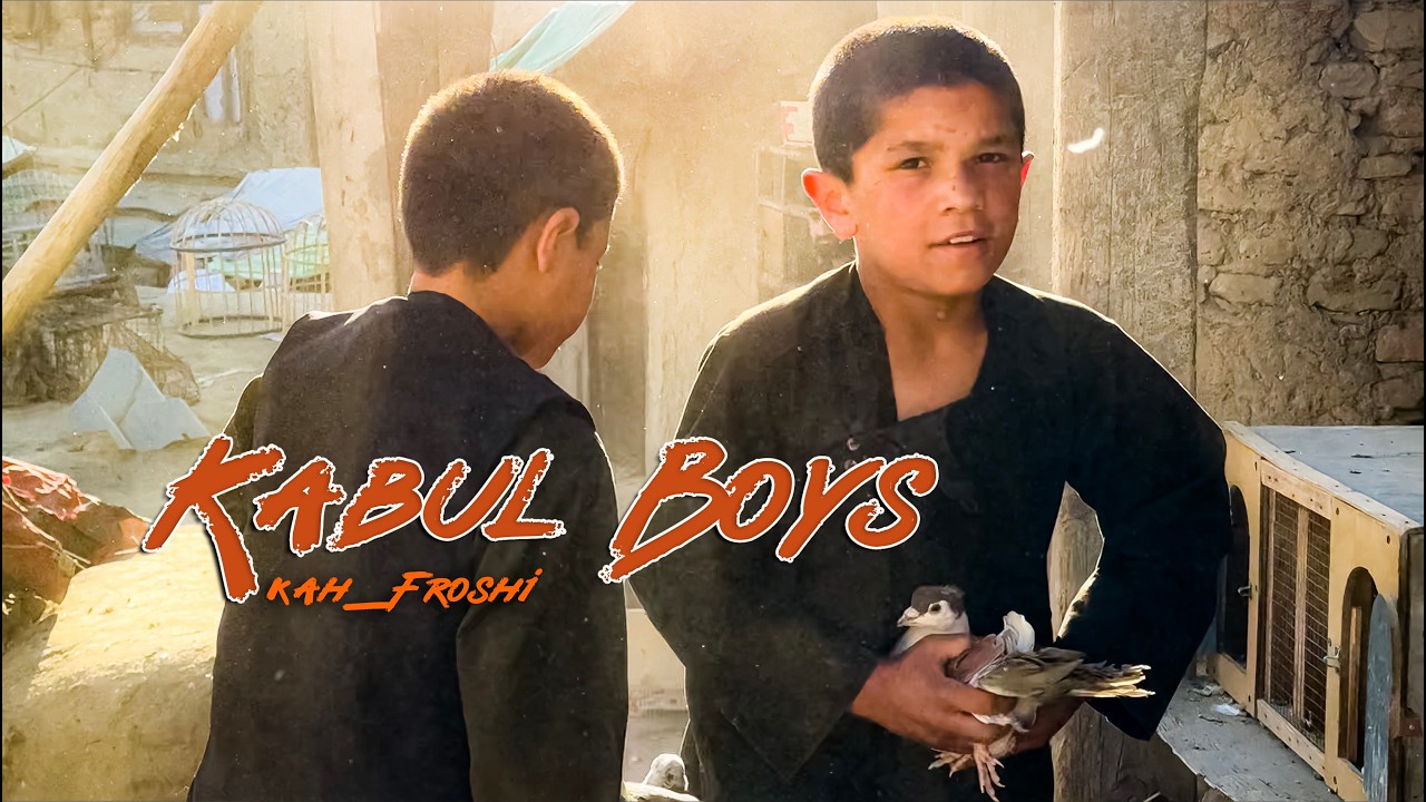 Street Boys of Kabul: The Pigeon Fanciers of Ka Faroshi