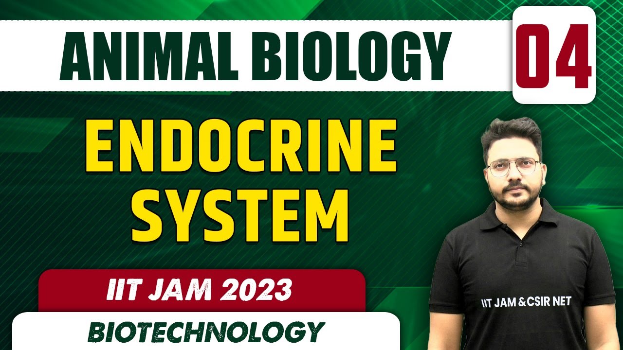 Endocrine System l Animal Biology 04 l Biotechnology l IIT JAM 2023