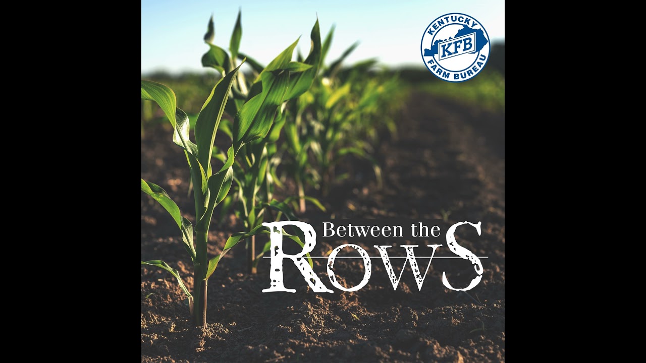 Meet Renee and Matt | Between the Rows