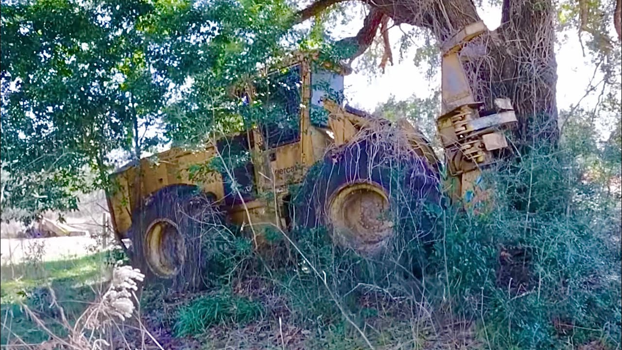 Logging equipment hiding in the bushes!  Will it ever run again?