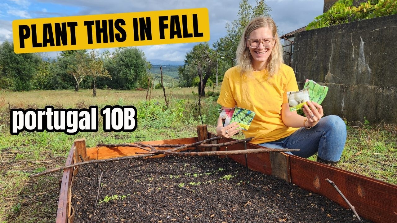 What to plant in your Portuguese garden in autumn