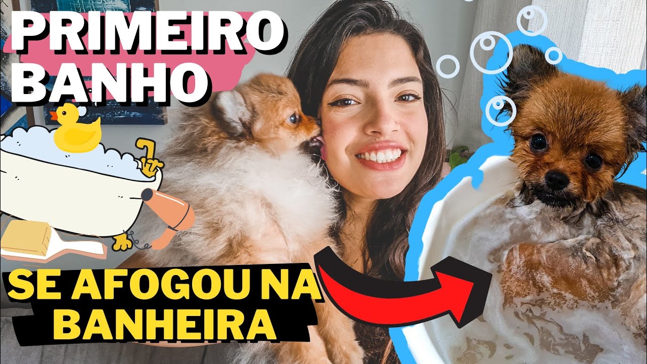 🛁🧼 como dar BANHO no SPITZ ALEMÃO/LULU DA POMERANIA em CASA?🦁 - Filhote 5 meses
