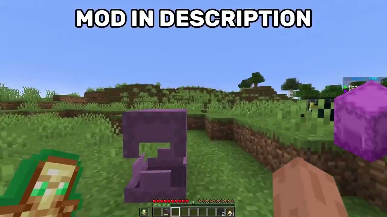 DONUT SMP DUPE GLITCH NOT PATCHED USE