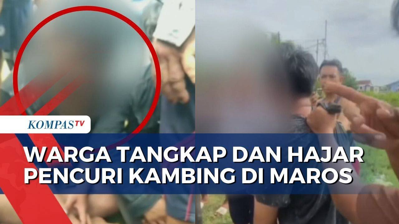 Aksi Pencuri Kambing Kepergok Warga, 2 Pelaku Babak Belur Dikeroyok Massa! | BORGOL