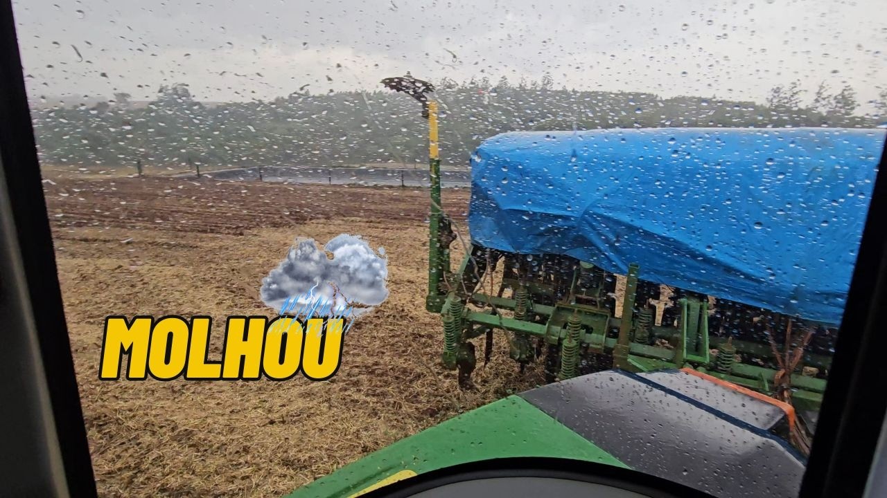 Primeiro banho de chuva no PLANTIO da SAFRINHA