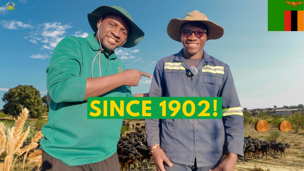 123 Years Farming – You Won’t Believe This Farm! 🐄🌾