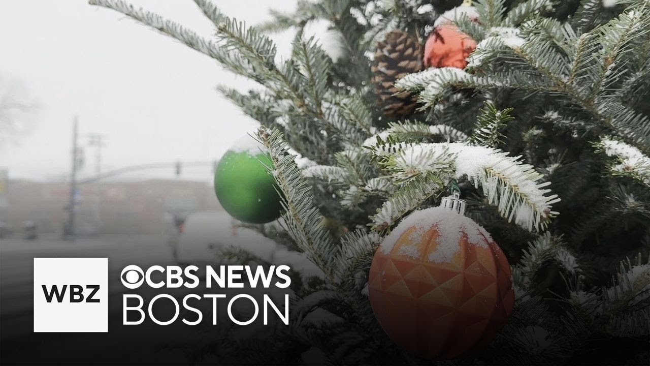 First storm of season like "living in a snow globe" for some in Mass. and N.H.