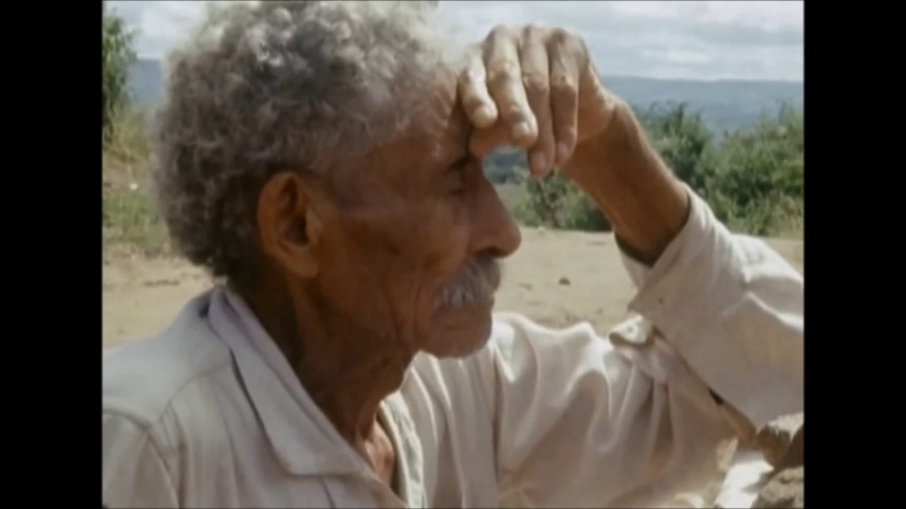 Documentário 
