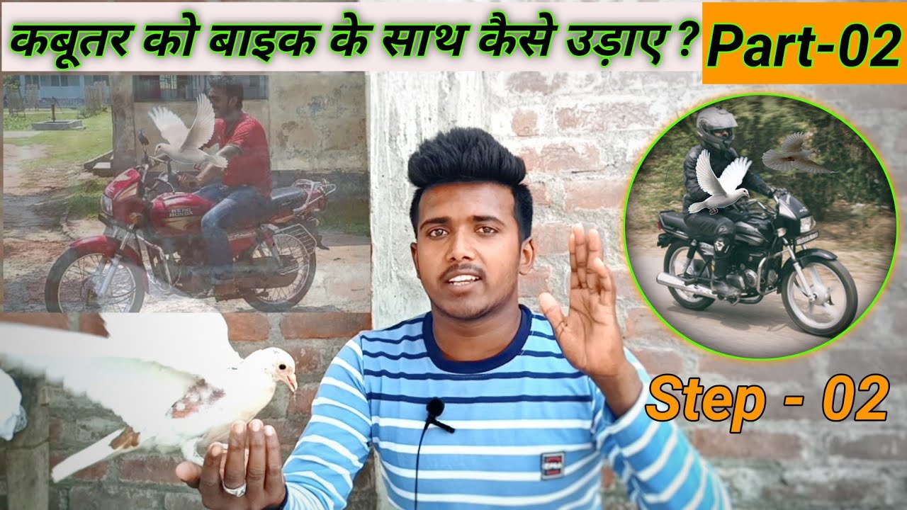 कबूतर को बाइक के साथ कैसे उड़ाए Part-02 || By Sultan Pigeon Jainul Khan