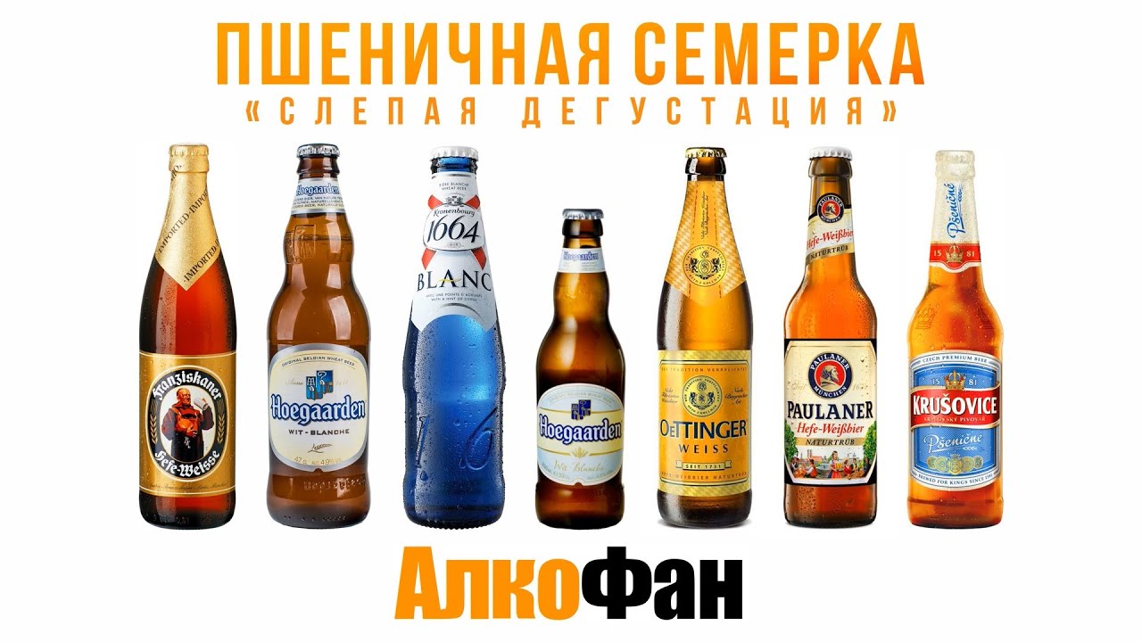 Слепая дегустация 7 марок пшеничного пива: кто стал лучшим
