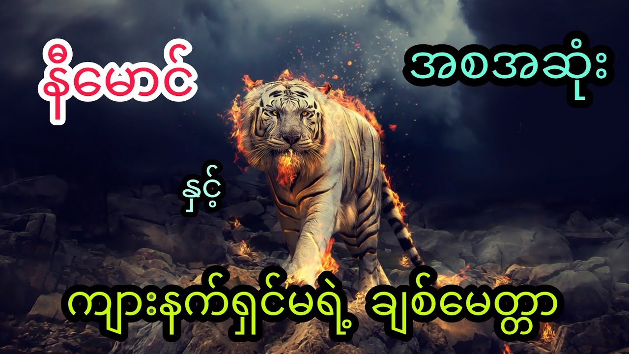 နီမောင် နှင့် ကျားနက်ရှင်မရဲ့ ချစ်မေတ္တာ (အစအဆုံး)