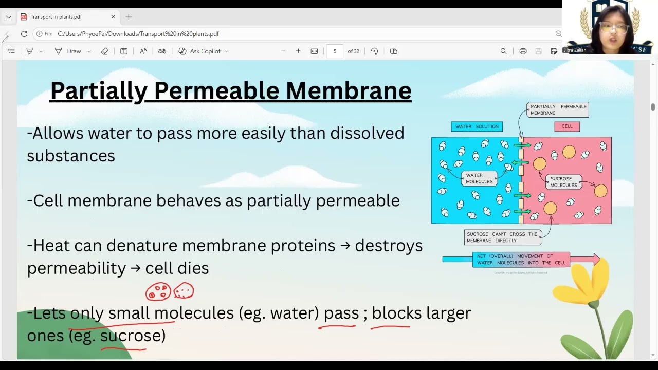 IGCSE - Biology - Transport in plants (Part-1) - Full lesson explanation