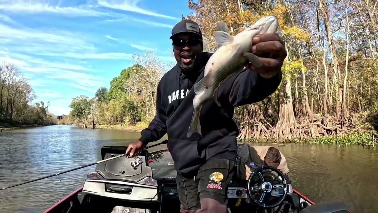 On the hunt for monster crappie in the Atchafalya Basin 