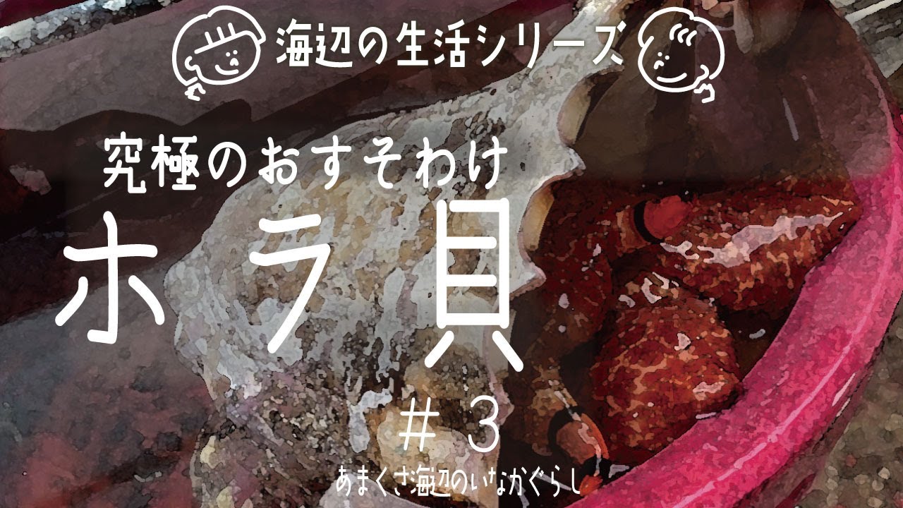 [田舎移住] 巨大貝ホラ貝をたべてみた結果... [海辺の田舎暮らし]