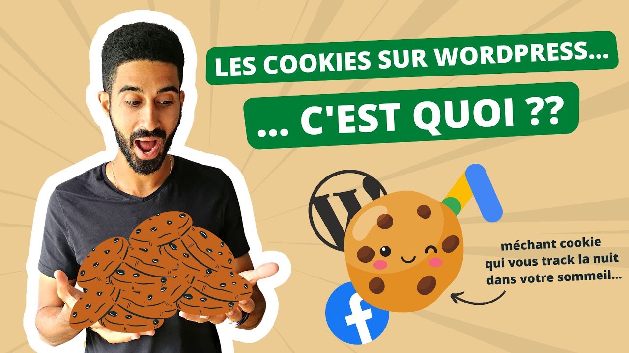 Comprendre les COOKIES sur WordPress… et voir les vôtres !