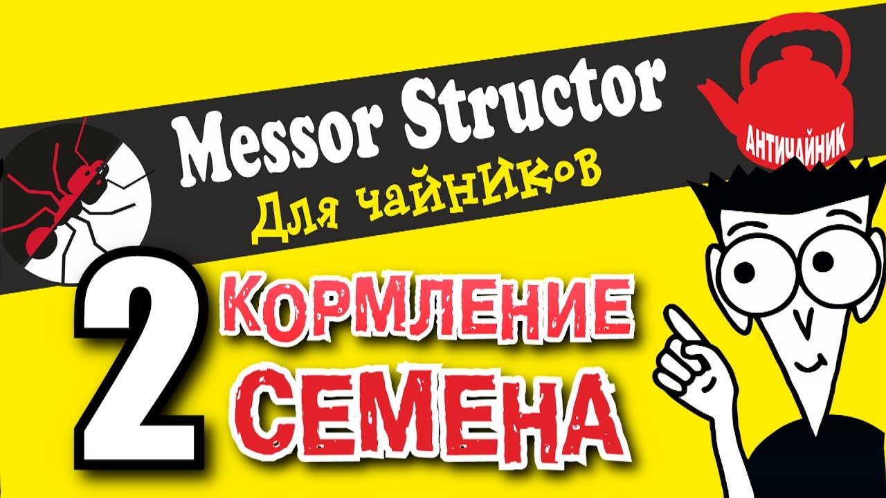 Муравьи для чайников №2. Семена для Messor structor.