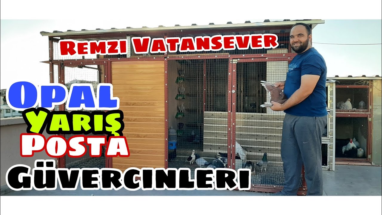 REMZİ VATANSEVER POSTA GÜVERCİNİ KÜMESLERİ