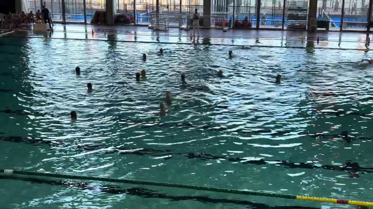 WP CNB x UEHorta Parte 4-4_14-02-2026