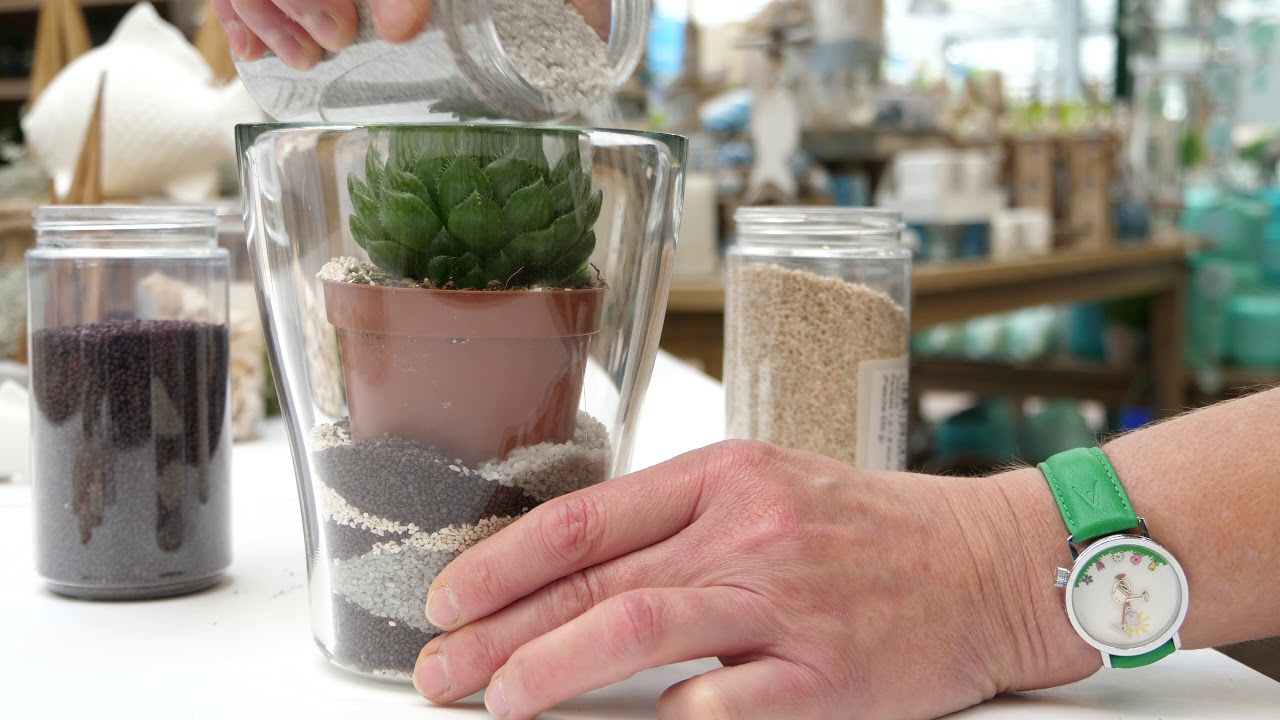 DIY - Deko-Glas mit Sand und einer besonderen Sukkulente