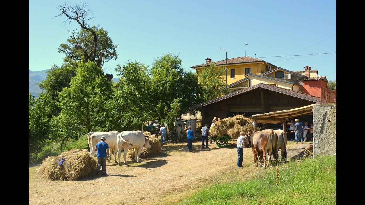 Pedali di Viggianello (16.07.2023) FESTA DEI MIETITORI - in devozione alla Madonna del Carmelo.
