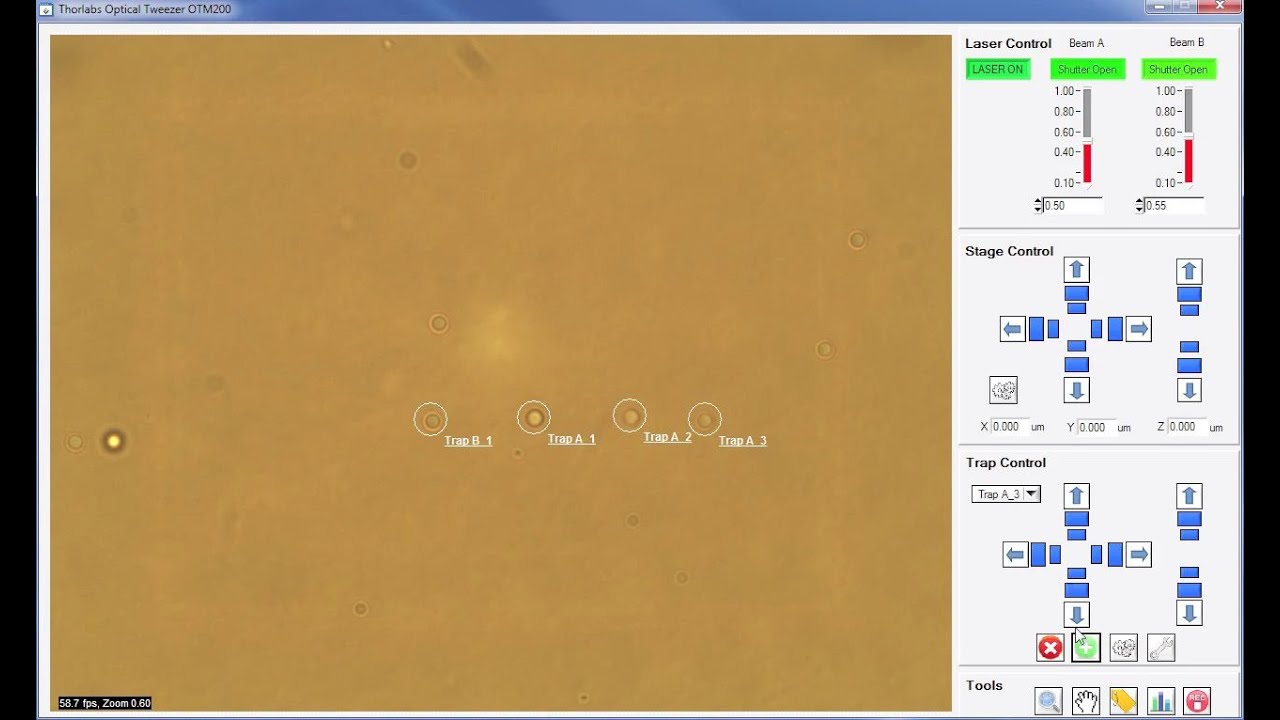 Thorlabs Optical Tweezers Microscope System Software