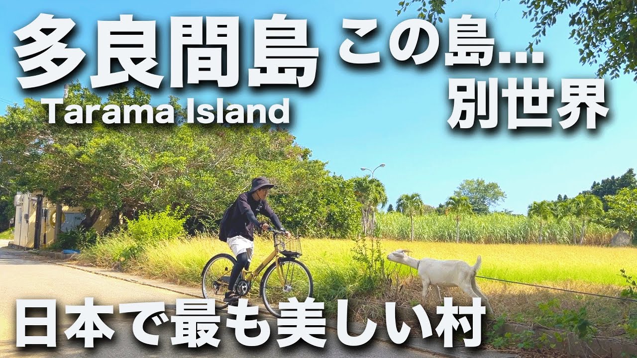 【多良間島】観光地化されていない素朴な島。自転車でのんびり巡るひとり旅【Day2】