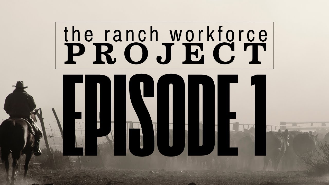 Bringing New Hands, New Ideas, and New Energy into the Agricultural Workforce