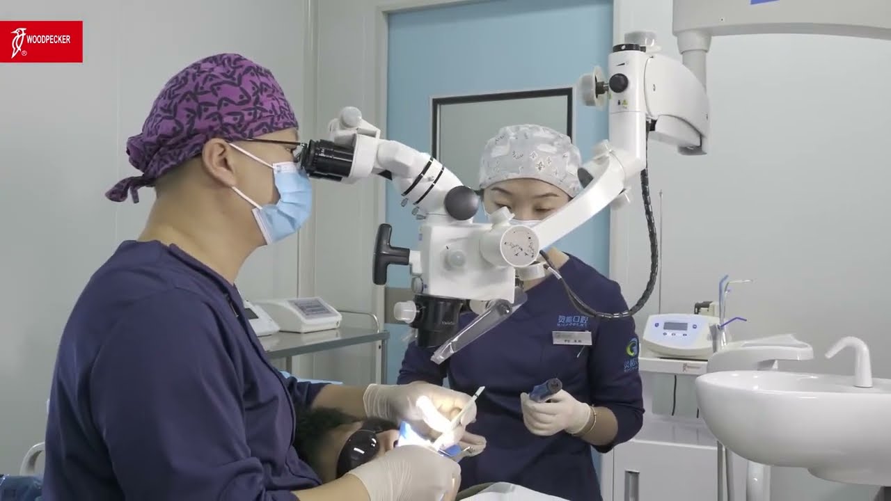 Woodpecker Endo Radar Pro (Case Study)