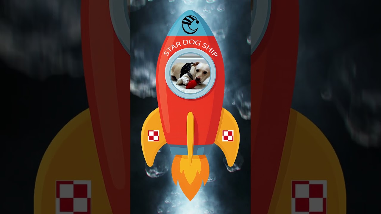 Pianka w Kosmosie 