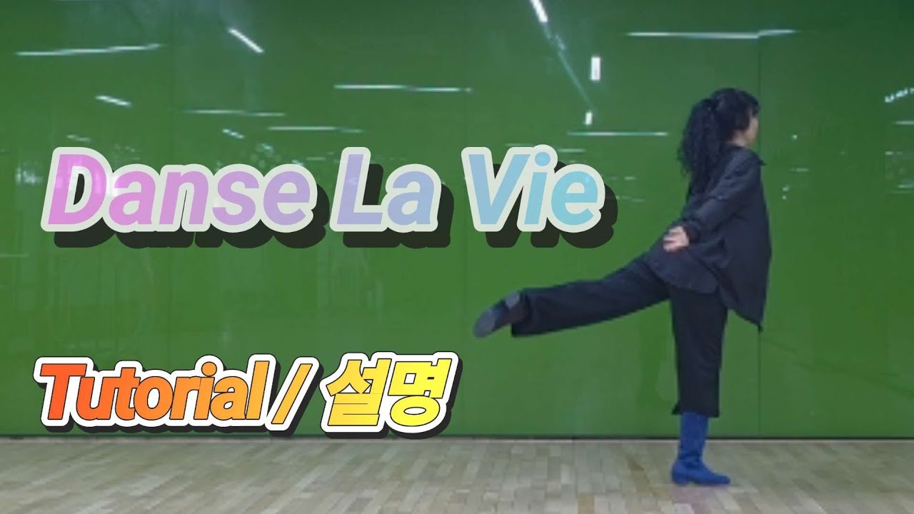 Danse La Vie Linedance(댄스 라 비 라인댄스 /PhrasedIntermediate/충무스포츠센터라인댄스/신당역9번출구