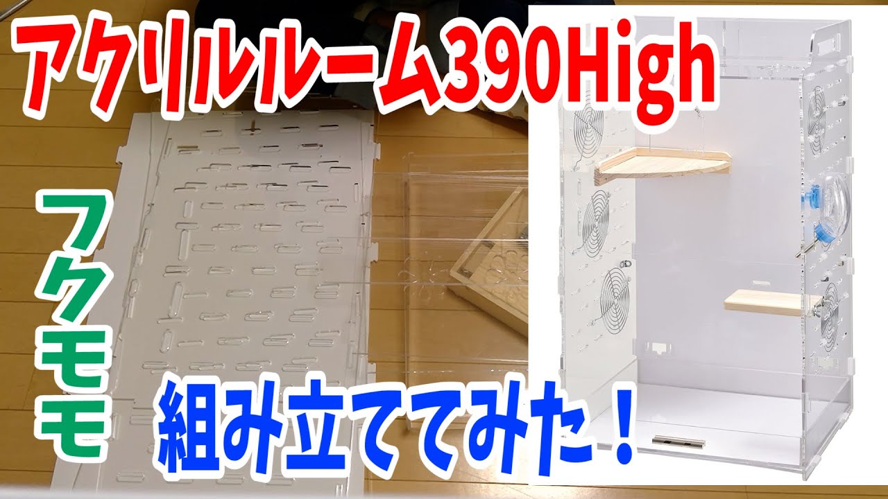 【迷ってる方必見！？】フクモモ飼育ケージ　アクリルルーム390High組み立ててみた！【のんびり動画】