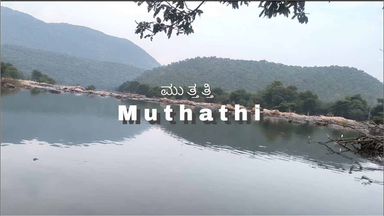 Muthathi | ಮುತ್ತತ್ತಿ | One Day Trip From Bangalore | Kaveri River