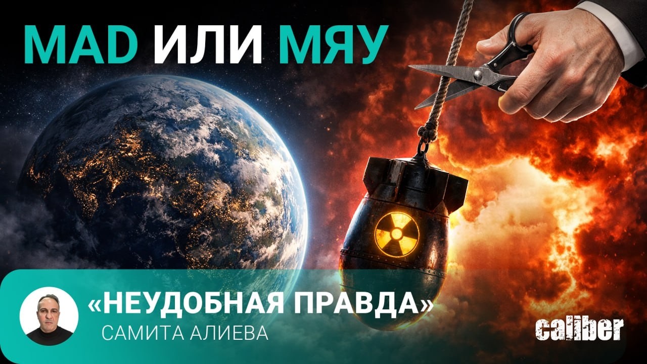 MAD или МЯУ. «Неудобная правда» Самита Алиева