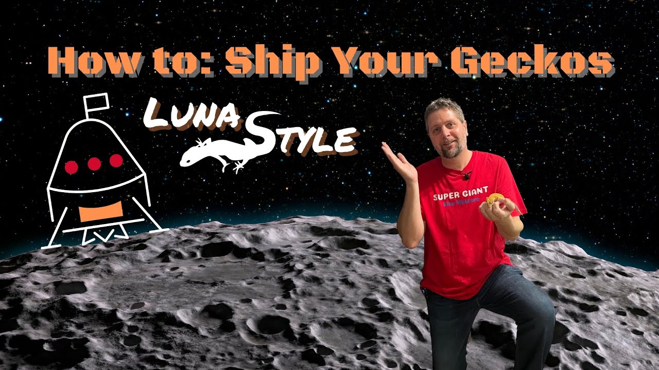 How To: Ship Your Geckos Luna Style