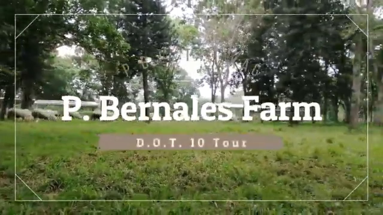 P. Bernales Farm - P.B.F. Talakag Bukidnon