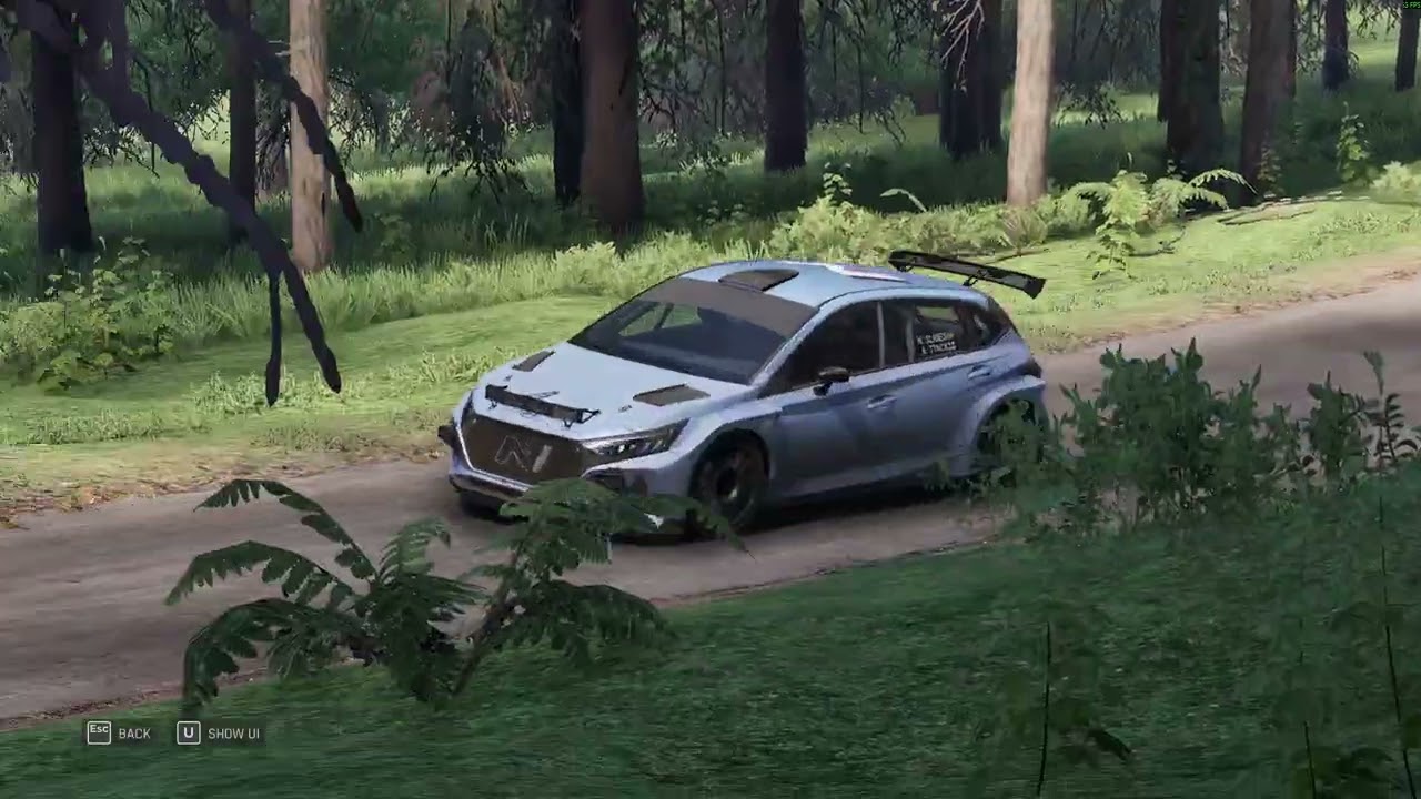 Assetto Corsa Rally | Hyundai I20 *World Record* (3.33.737) Luttenbach pres Munster