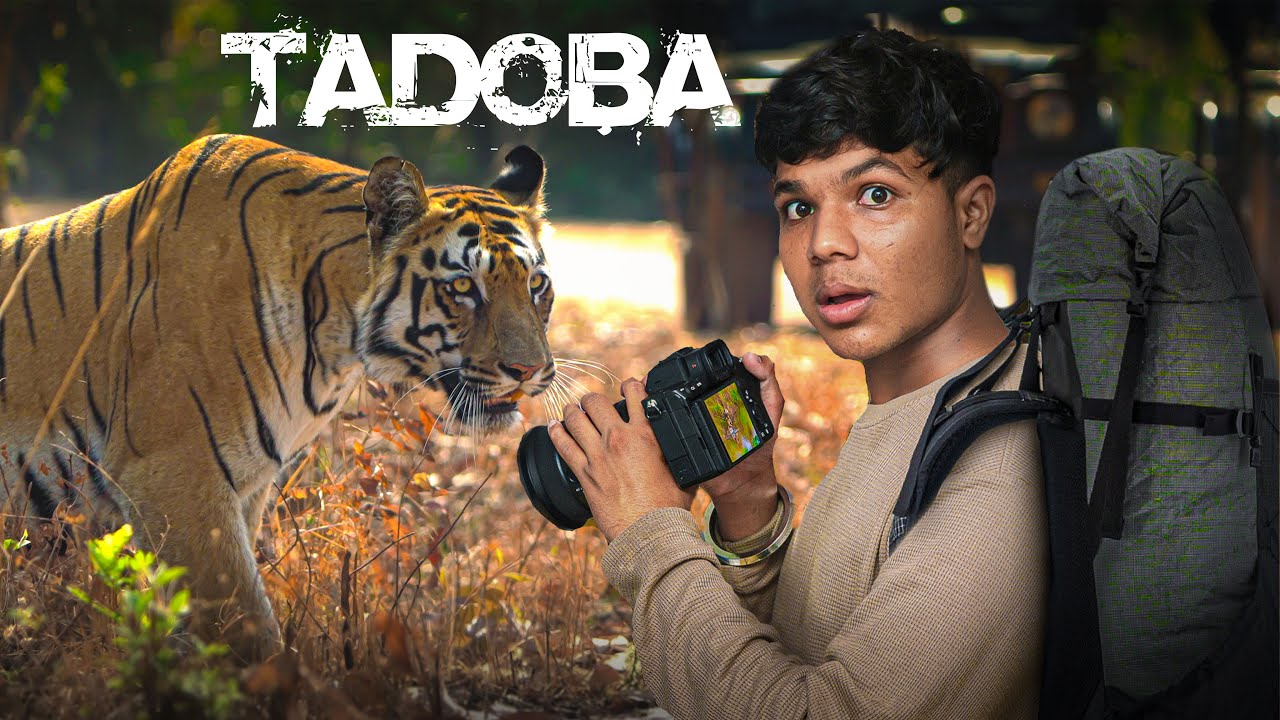 An Ending I'II Never Forget - Tadoba