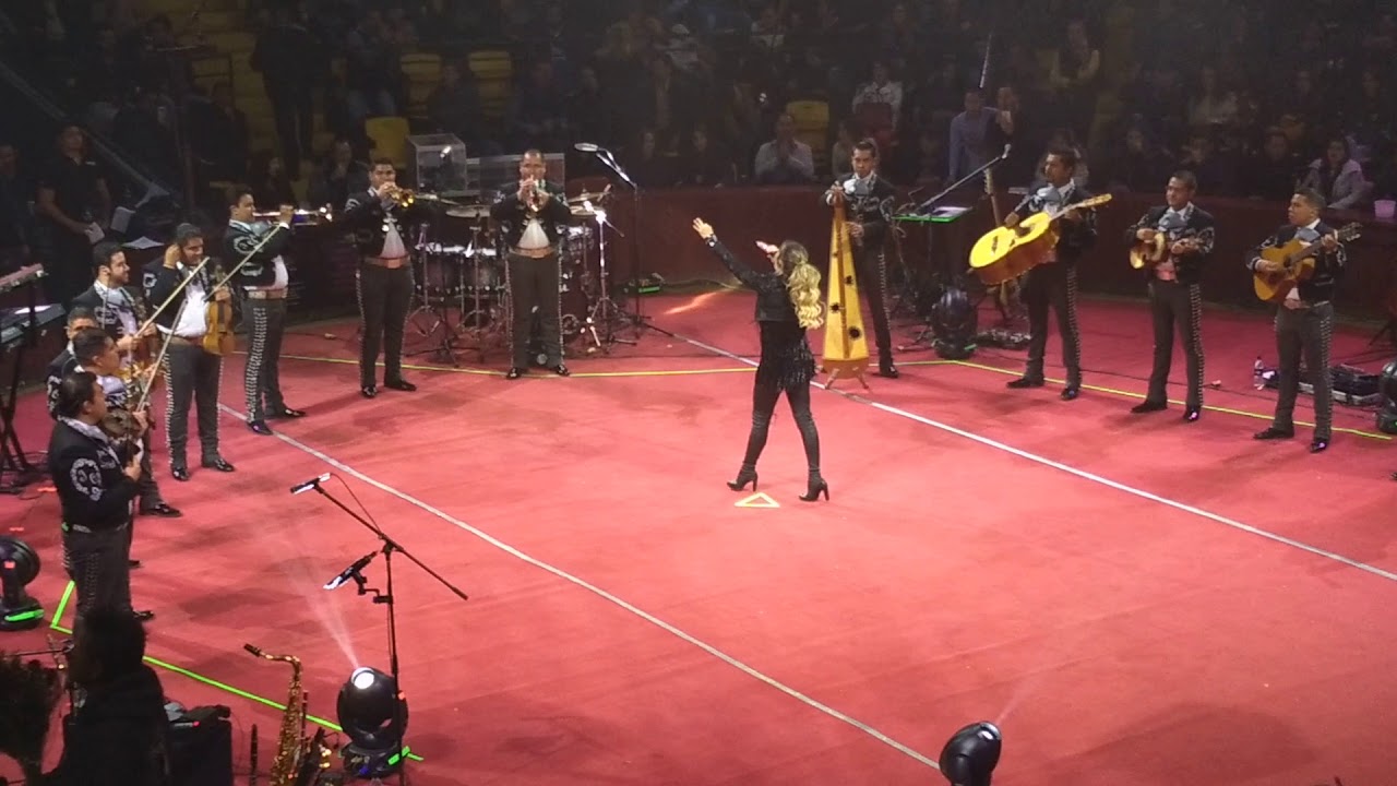 María José 