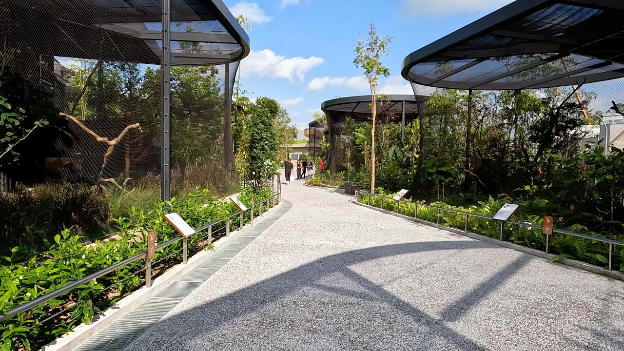 Bird Paradise, Singapore, Full Walking Tour – 4K