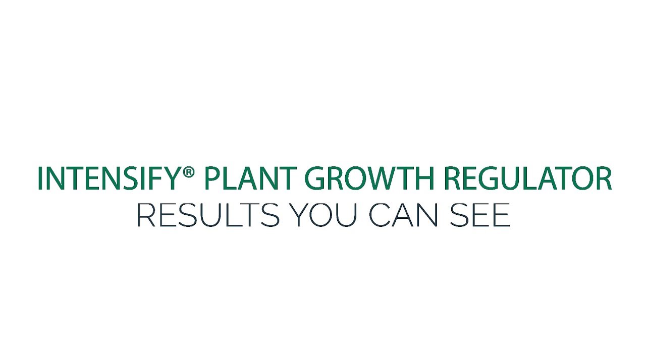 Intensify Plant Growth Regulator - Results You Can See