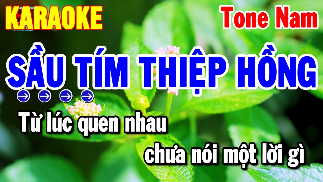 Karaoke Sầu Tím Thiệp Hồng Tone Nam Nhạc Sống Hay Dễ Hát 2026 | Thanh Hải